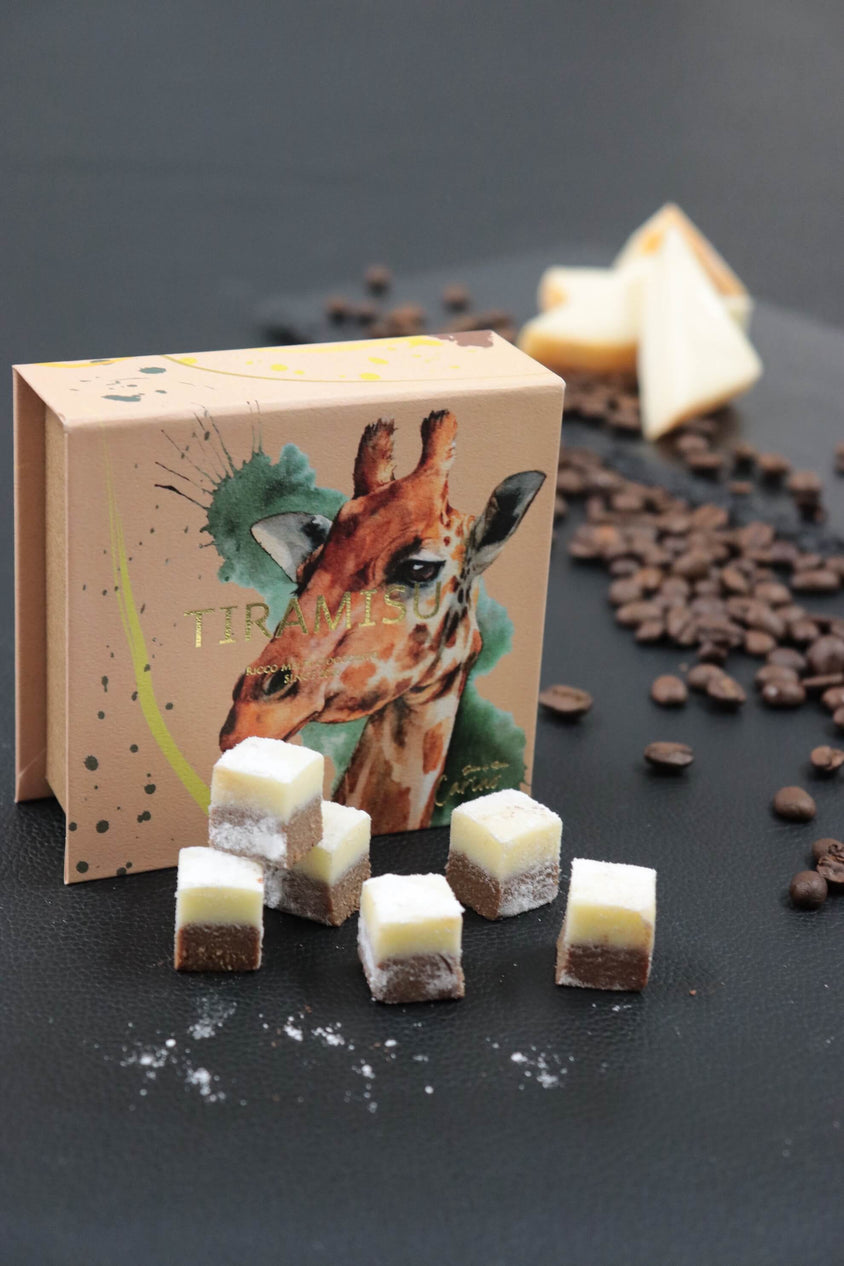 生チョコレート ティラミス